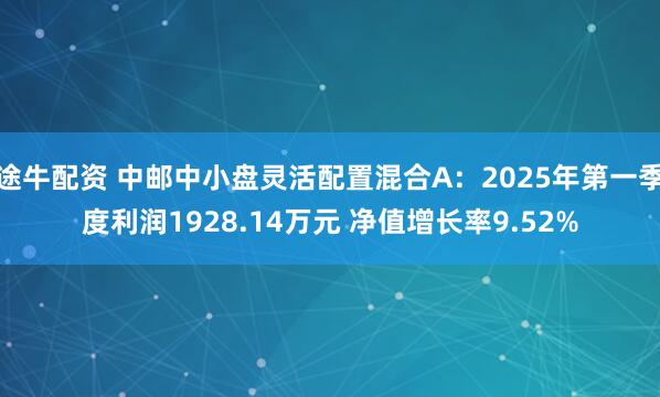 途牛配资 中邮中小盘灵活配置混合A：2025年第一季度利润1928.14万元 净值增长率9.52%